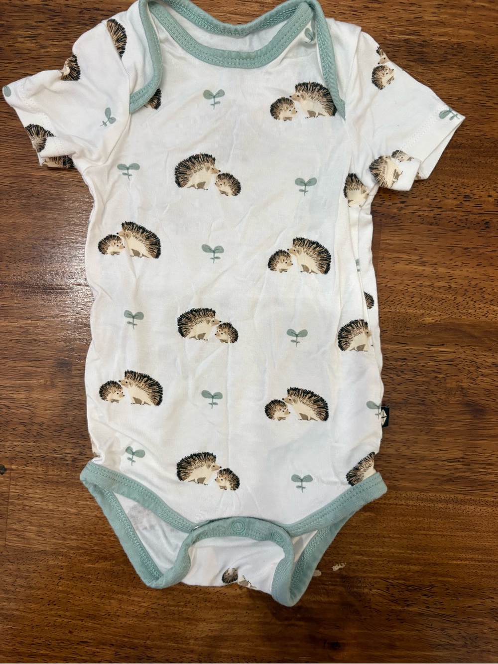Kyte BABY White Bodysuit with Hedgehog Print and Mint Trim
